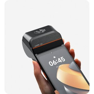 Mobile Terminals